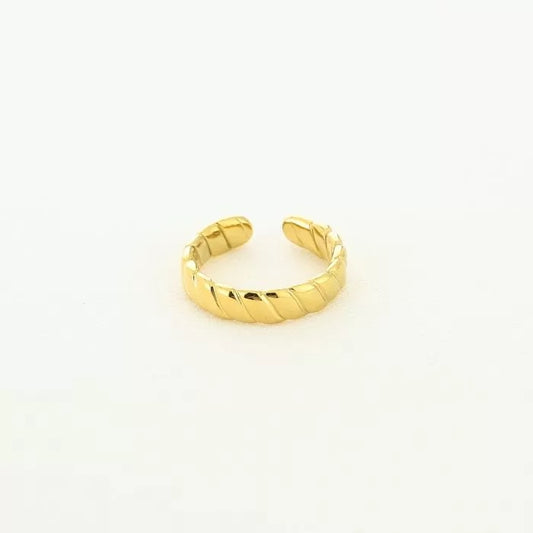 Ring Noé