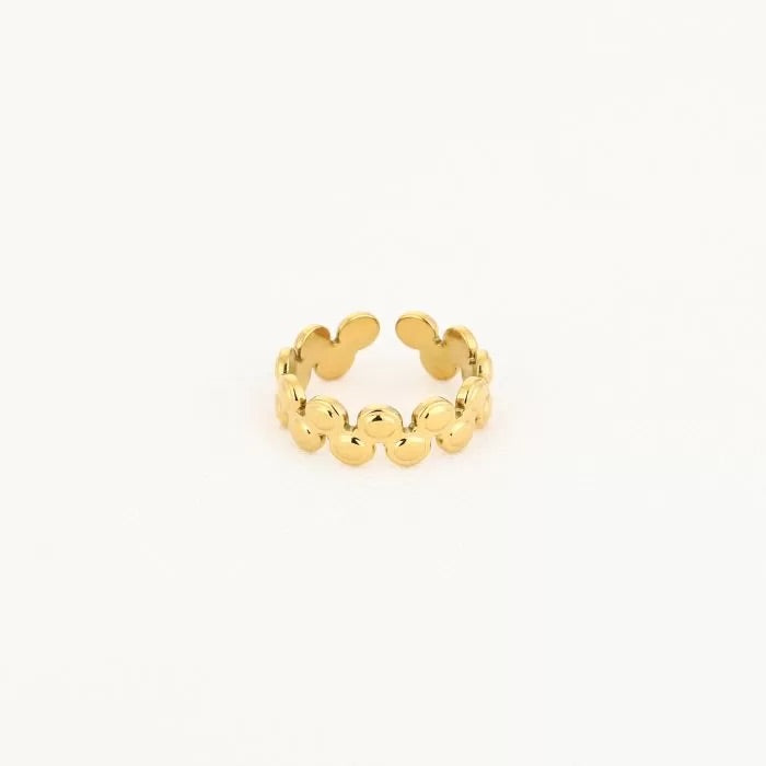 Ring Nori