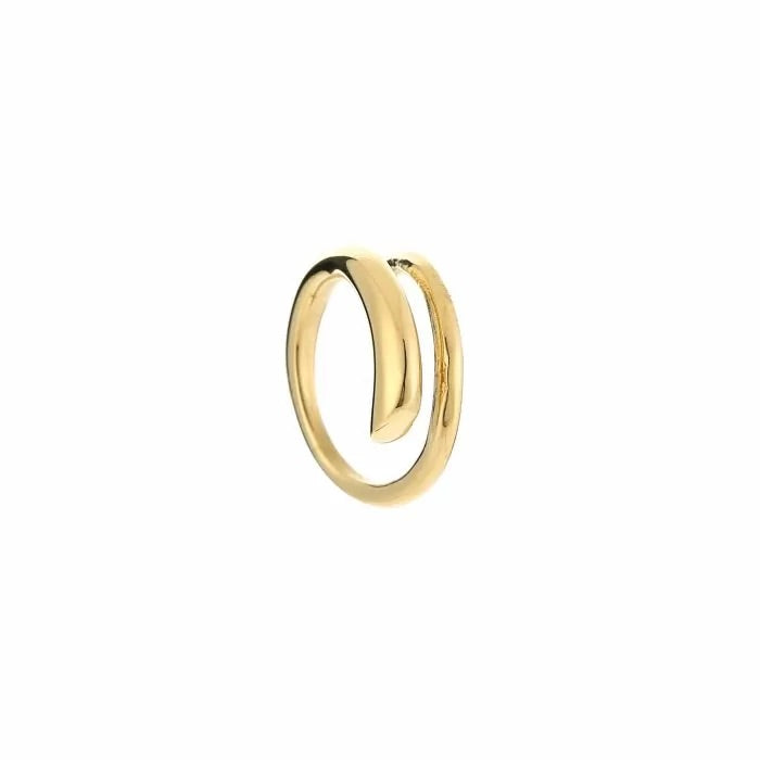 Ring Ray